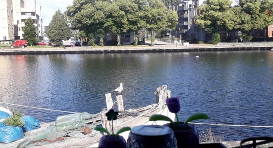 20220710_082807.jpg