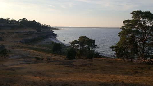 20180713_202144.jpg