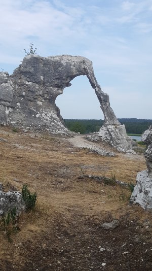 20180713_125100.jpg