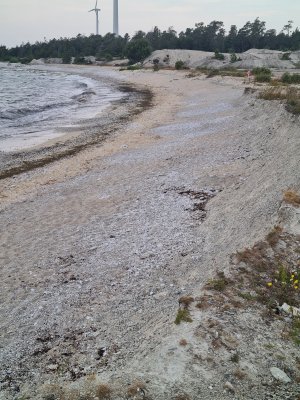 20220805_095235.jpg