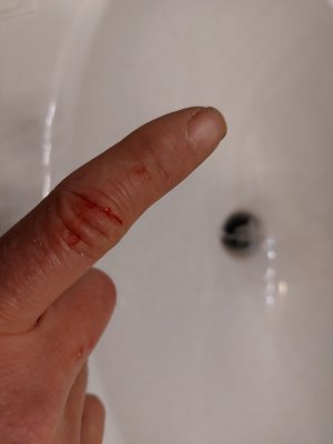 20220828_133326.jpg 20220828_133326.jpg