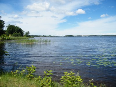 DSCF8913.JPG
