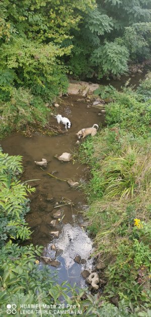 IMG_20220907_153335.jpg IMG_20220907_153335.jpg