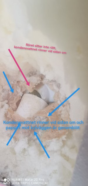 IMG_20220921_154052.jpg IMG_20220921_154052.jpg