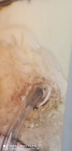 IMG_20220921_160949.jpg IMG_20220921_160949.jpg