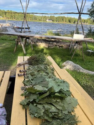 Bastufestivalen 2022.jpg