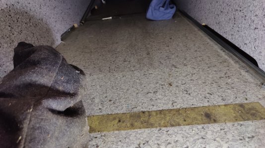 IMG20221022165624.jpg IMG20221022165624.jpg