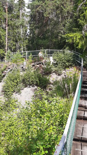 20220717_093919.jpg