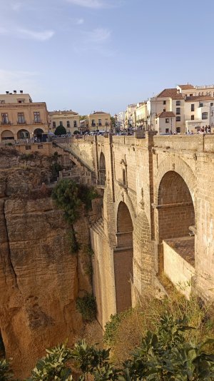 IMG_20221030_172308.jpg IMG_20221030_172308.jpg