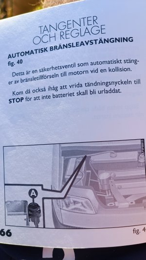 IMG_20221105_153201.jpg IMG_20221105_153201.jpg
