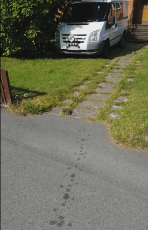 filmruta oljeläcka.png