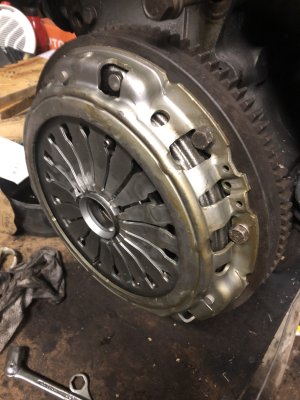 4C47F37A-1262-4E1C-AFFA-018B92D397C2.jpeg 4C47F37A-1262-4E1C-AFFA-018B92D397C2.jpeg