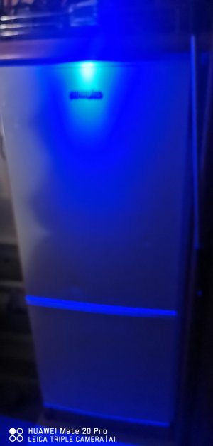 IMG_20221121_200457.jpg IMG_20221121_200457.jpg