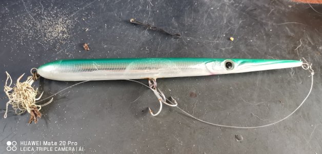 IMG_20221206_104123.jpg IMG_20221206_104123.jpg