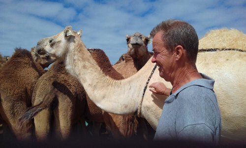 20180302_120013.jpg 20180302_120013.jpg