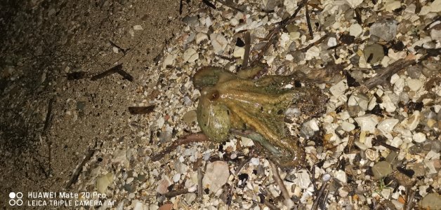 IMG_20221214_204010.jpg IMG_20221214_204010.jpg