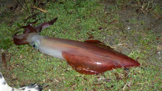 P1010492.JPG P1010492.JPG