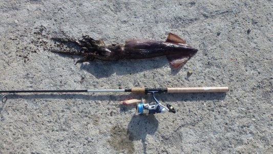 P1030429.JPG P1030429.JPG