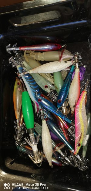 IMG_20221219_161321.jpg IMG_20221219_161321.jpg