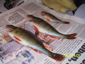 100_0572.JPG 100_0572.JPG