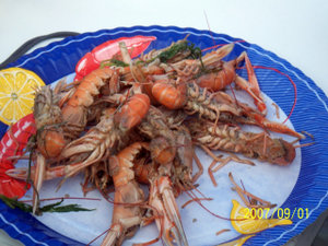 100_0626.JPG 100_0626.JPG