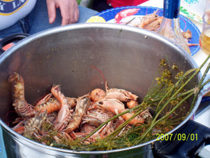 100_0627.JPG 100_0627.JPG