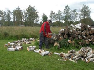 St Hammarsjöområdet, Hultsfred 018-500.jpg St Hammarsjöområdet, Hultsfred 018-500.jpg