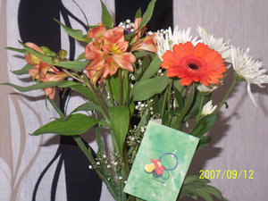 100_0721.JPG 100_0721.JPG