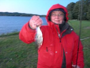 Husqvarna träffen-Elmia 12-16 september -07 016-500.jpg