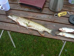 Husqvarna träffen-Elmia 12-16 september -07 034-500.jpg