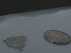 IMG_0861 (2).JPG IMG_0861 (2).JPG