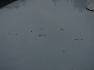 IMG_0863.JPG IMG_0863.JPG