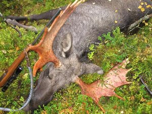 IMG_1282 (Small).JPG IMG_1282 (Small).JPG