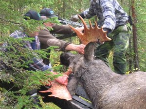 IMG_1291 (Small).JPG IMG_1291 (Small).JPG