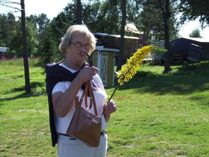 Gåvor.jpg Gåvor.jpg