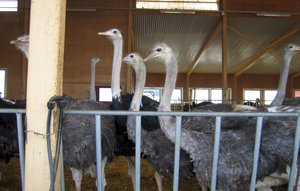 struts2.jpg struts2.jpg