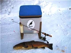 Götes fisk 27 nov 2007.jpg