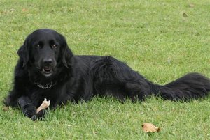 alingsås 024 (Small).jpg