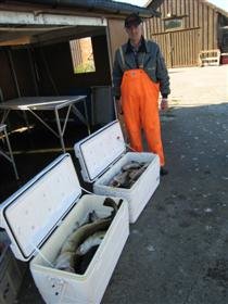 Bild 005 (Custom).jpg Bild 005 (Custom).jpg