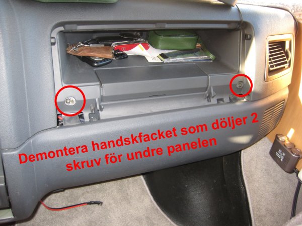 01_Nya framfjädrar.jpg