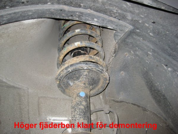 06_Nya framfjädrar.jpg