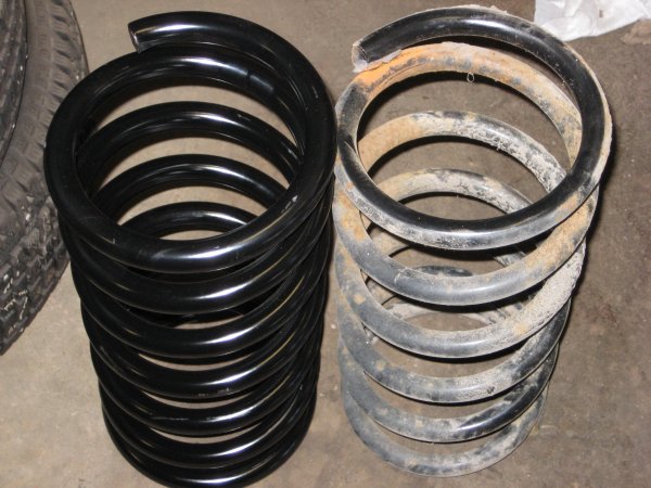 07_Nya framfjädrar.jpg