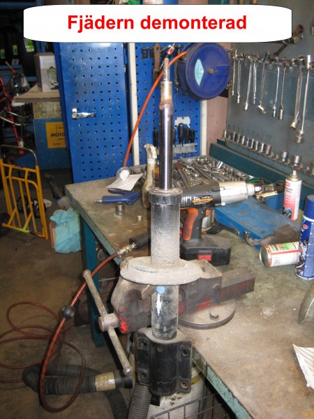 08_Nya framfjädrar.jpg