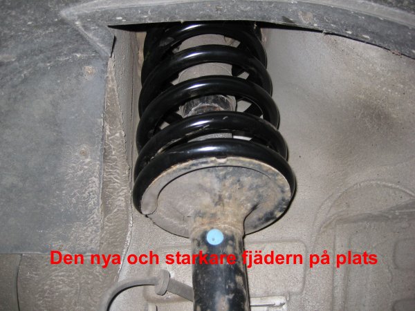 09_Nya framfjädrar.jpg