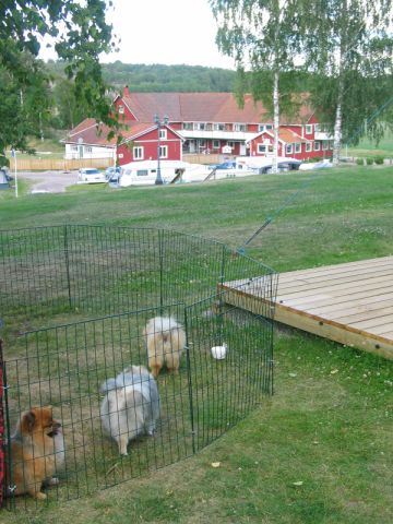 Fjällbacka juli-08 3.JPG Fjällbacka juli-08 3.JPG