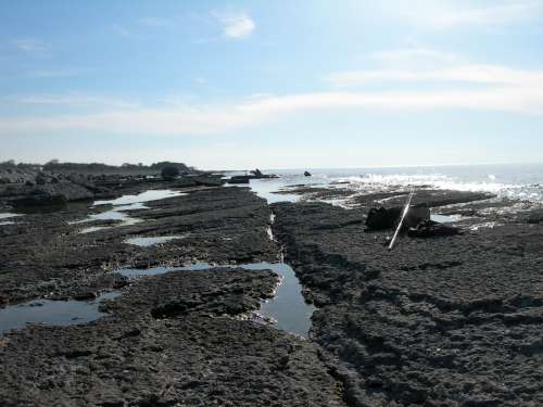 Öland 015-500.jpg