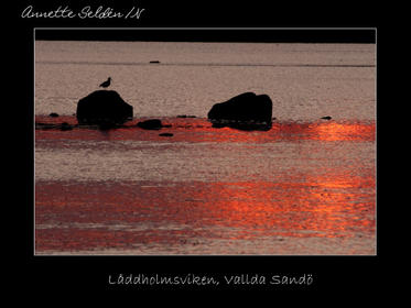 Reservat webb-22.jpg