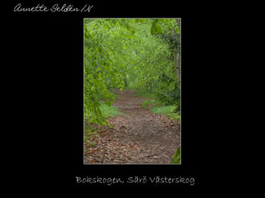 Reservat webb-25.jpg