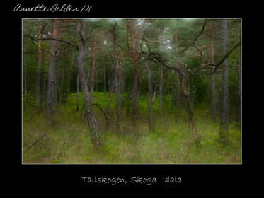 Reservat webb-27.jpg