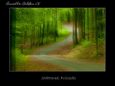 Reservat webb-29.jpg